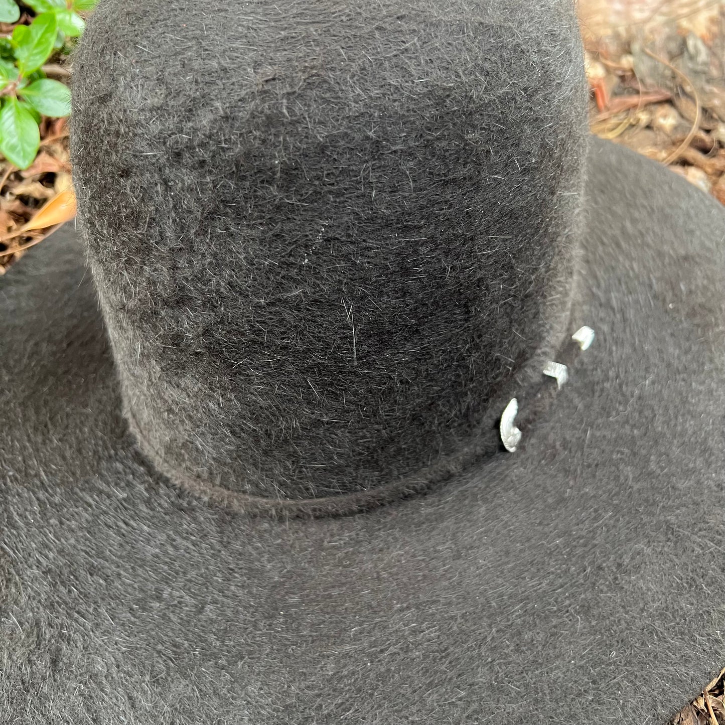 Tacchino 10X Grizzly Tall Crown Chocolate