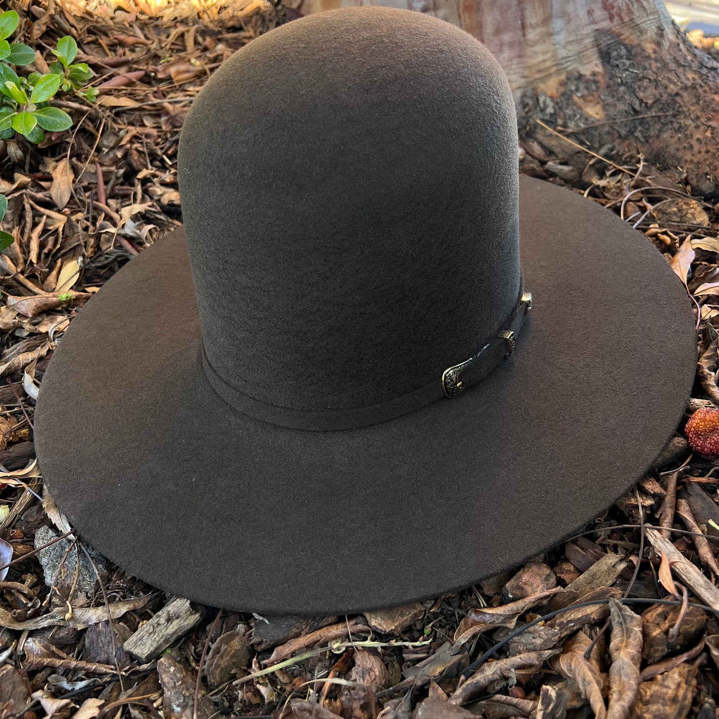 Laredo Wool Tall Crown Chocolate Felt