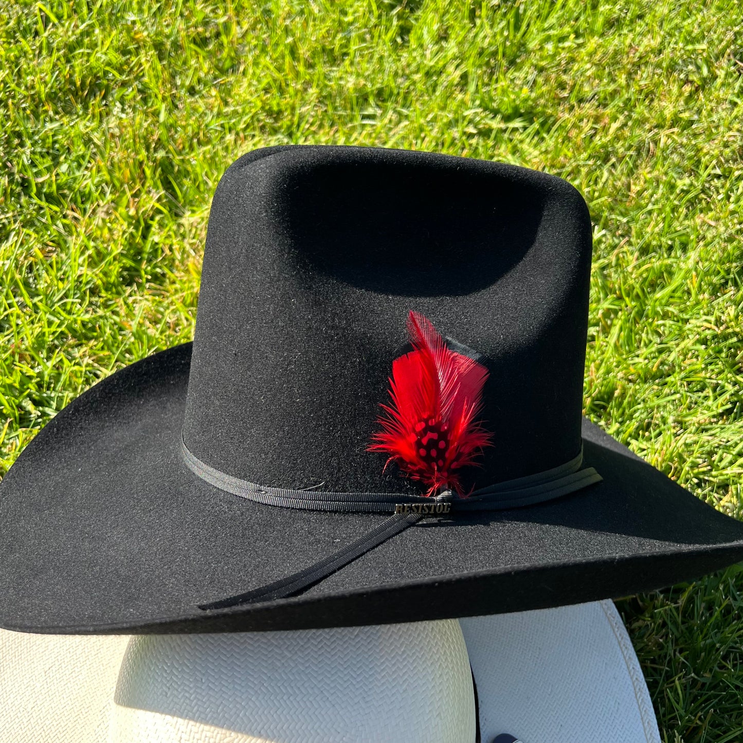 Resistol 6X QH60 Black Felt 4"