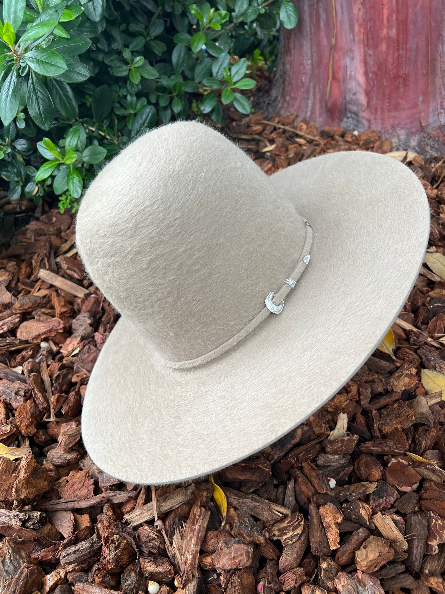 Tacchino 10X Grizzly Tall Crown Sand