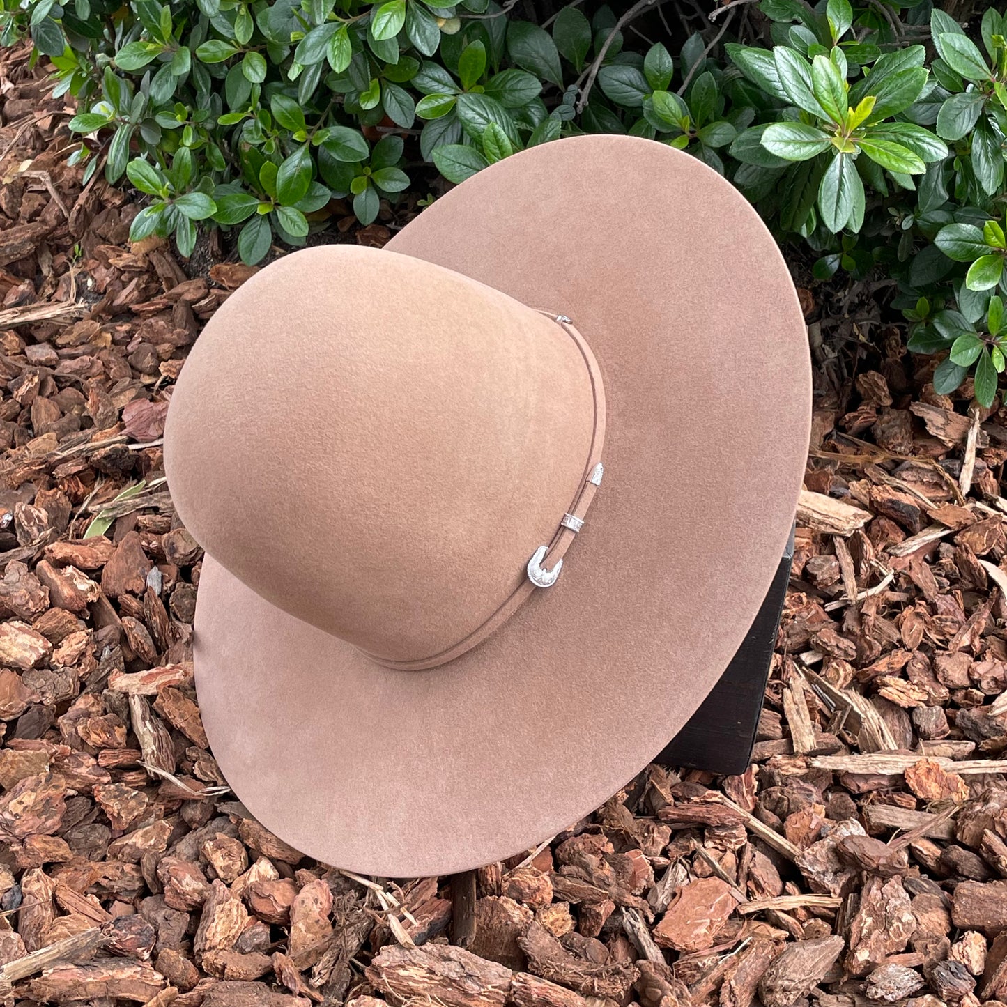 Tacchino 10X Tall Crown Sahara Felt