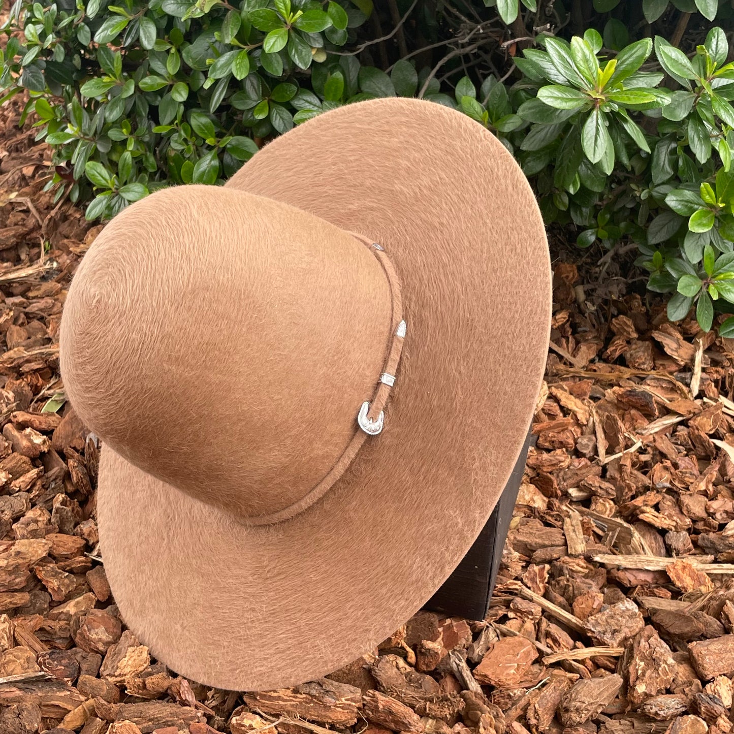 Tacchino 10X Grizzly Tall Crown Sahara